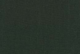 canvas-2-0996.jpg